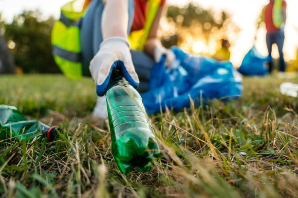 Best Carpet Removal and Disposal  in Madison, MN